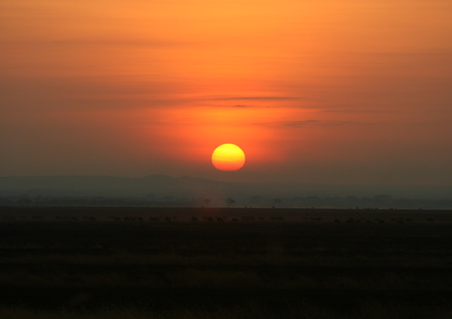 As if on cue, the sunset our last night on safari was perfect! We hope you’ll get to see this some day too!